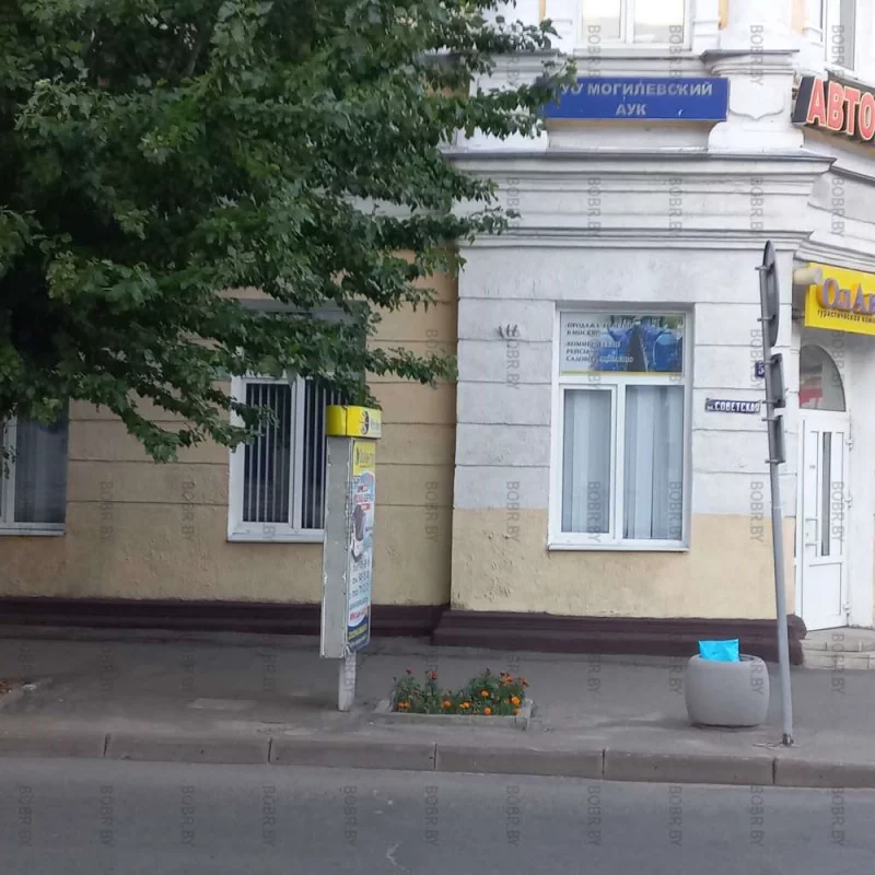 Вечная память погибшему дереву