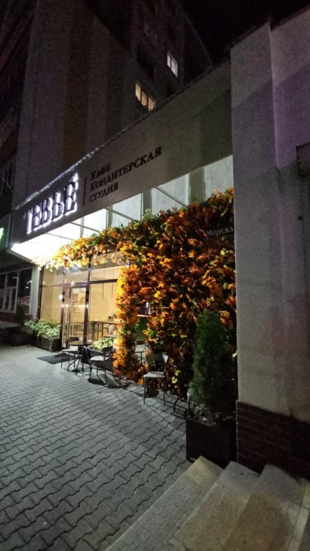 Новое оформление фасада Тевье