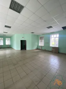 Помещение по ул. Пушкина