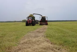 В ОАО «Агрокомбинат Бобруйский» активно идет заготовка кормов для животноводства