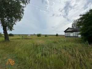 &quot;Боярская изба&quot; (Срочная продажа)