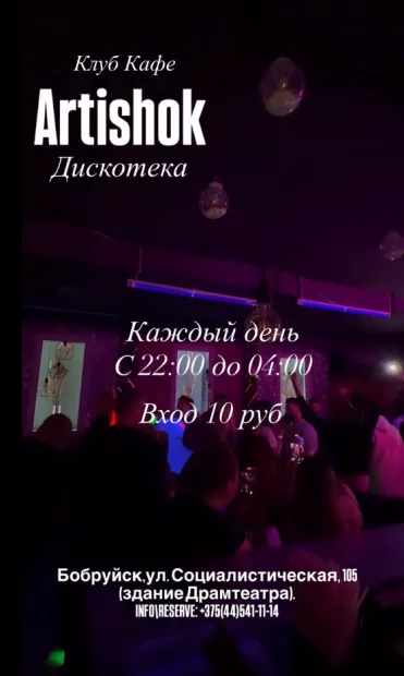 Дискотека в клуб-кафе «Artishok»