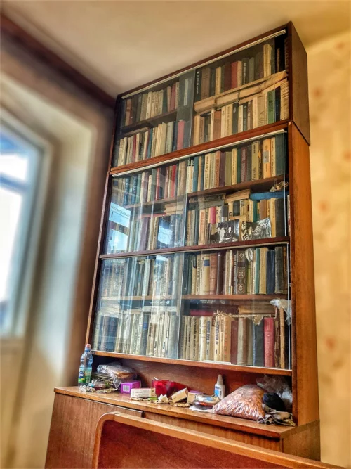 Книжный стеллаж