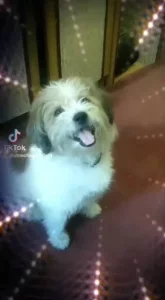 Нужен срочно дом