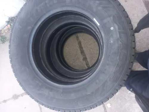4 колеса Lassa 195/75R16C 107/105R Wintus 2