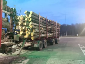 Услуги Лесовоза