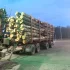 Услуги Лесовоза