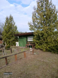 Участок почти даром