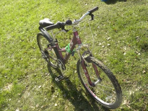 Велосипед подростковый STELS 430 230р