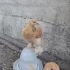 Цыплят народы Брама