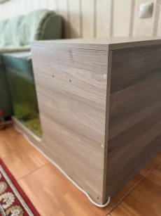 Рыбок Гарра руфа