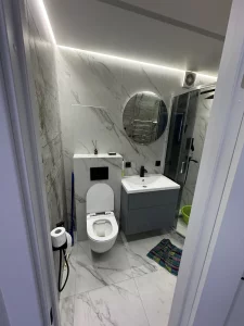 1 комнатную квартиру в центре