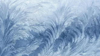 От циклона к арктическому холоду: в Могилёвской области на смену снегопаду пришли сильные морозы