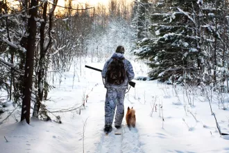 Штраф до 1350 рублей. С 25 января запретили охоту на этих животных