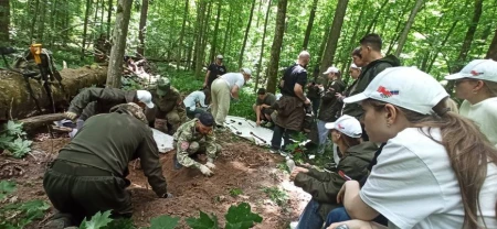 Бобруйские поисковики группы «Обелиск» нашли останки двух пилотов времён ВОВ у деревни Калинино