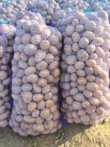 Картофель