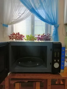 СВЧ Мидэя