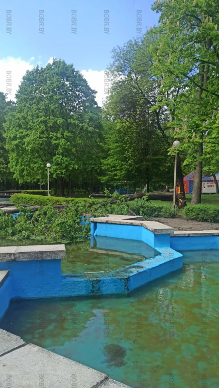 Дерево устало. Бедное дерево. Городской парк
