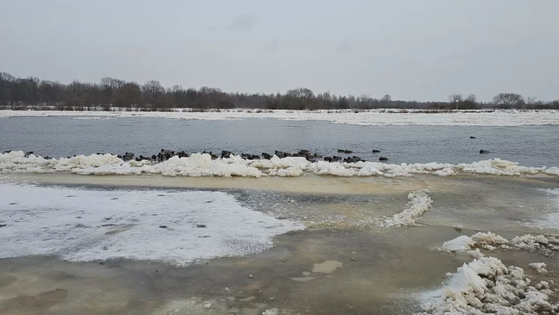 На Березине почти встал лед
