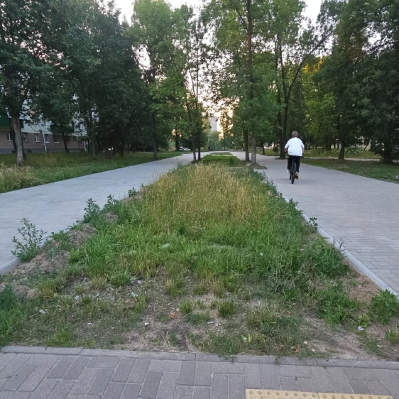 Сделали красивую аллею к Шаманке