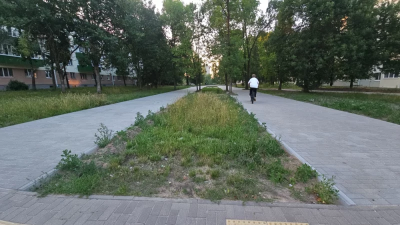 Сделали красивую аллею к Шаманке