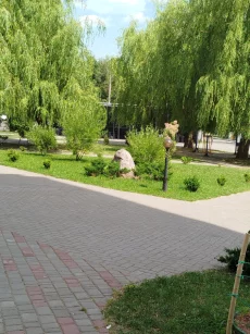 Новая однокомнатная квартира, у.Советская, 160, 45000у.е