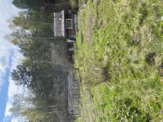 Дачный участок в 5 км от Бобруйска