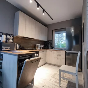 Дом с гаражом на 2 машины и участком 25 соток рядом с рекой Березина