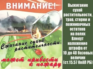 СТРАШНАЯ ПЛАТА