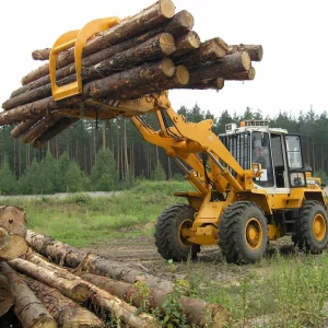 Подрядчики для лесозаготовительных работ (Бобруйск, Могилевская обл.)