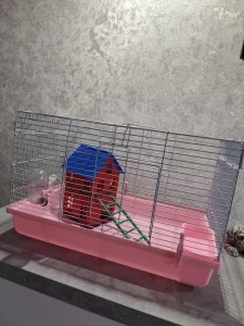 Клетку