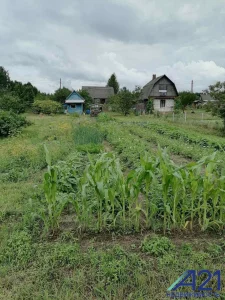 Участок 10 соток в 25км от Бобруйска в деревне Богуславка