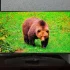 Телевизор LG 49UK7550PLA 4K Smart TV, Wi-Fi