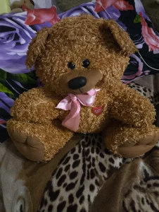 Медведь мягкий