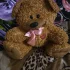 Медведь мягкий