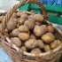 Молодой картофель