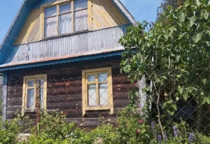 Дача СТ "Мичуринец"