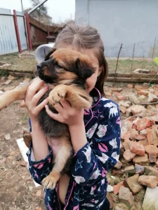 Отдам щенком в хорошие руки