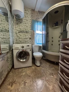 Дом в деревне Карповичи