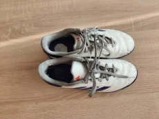 Бутсы Adidas Copa Pure (сороконожки), р. 38