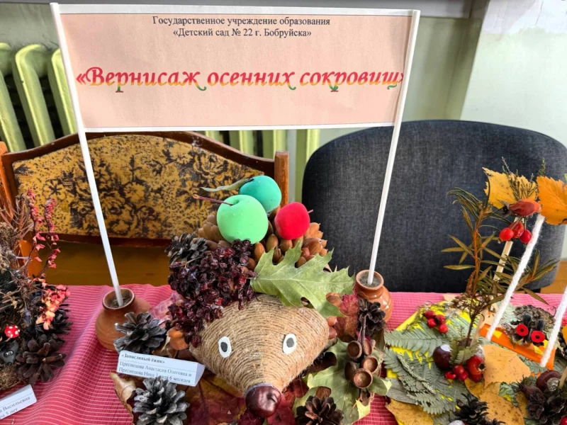 Вернисаж осенних сокровищ: в Бобруйске прошел яркий конкурс творческих работ