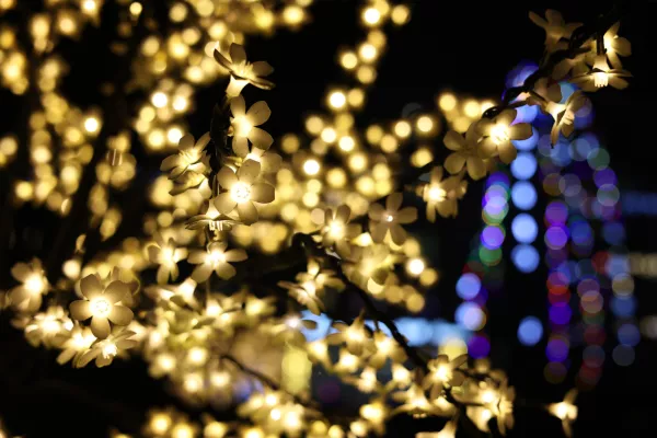 За огоньками. Фотопрогулка BOBR.BY в санаторий им. Ленина, на лодочную базу и к елочке Бобруйских электросетей