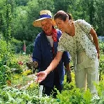 Избранная деятельность