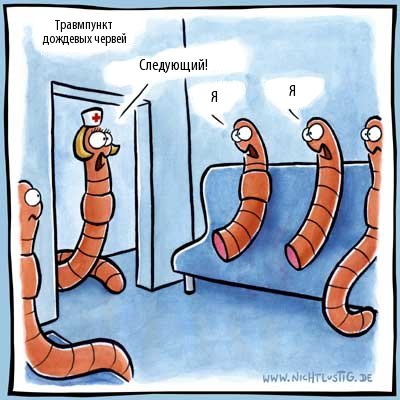 Анекдоты про насекомых