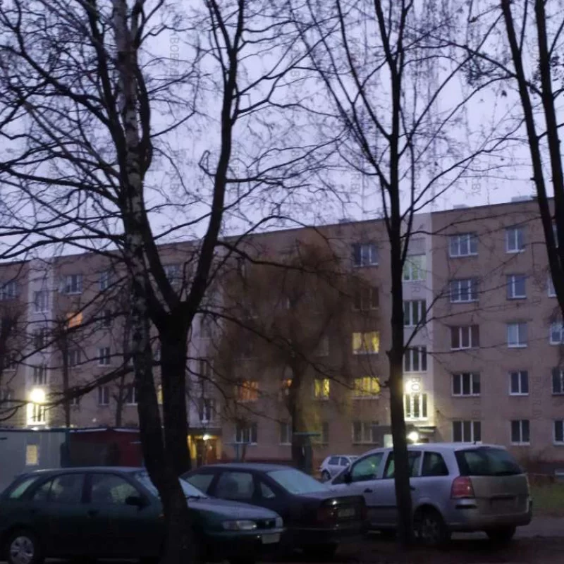 Ну-ка дружно стали в ряд
