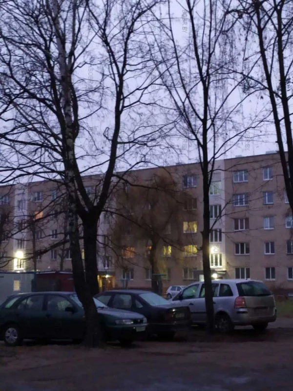 Ну-ка дружно стали в ряд