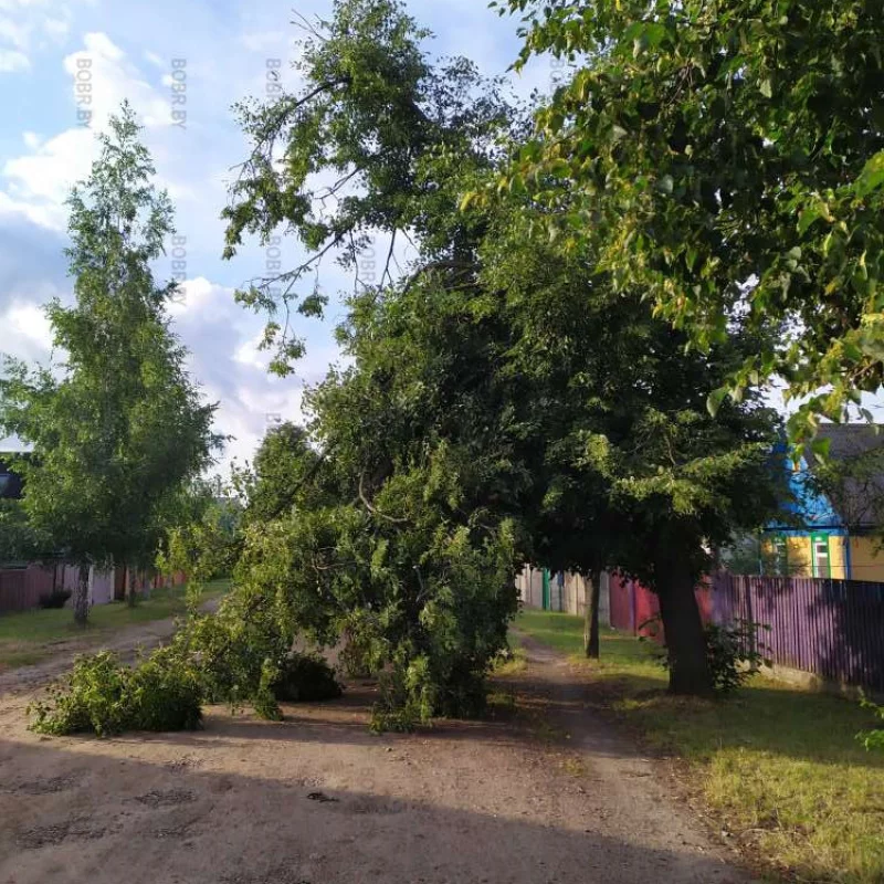 Арка