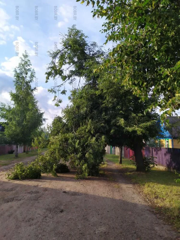 Арка