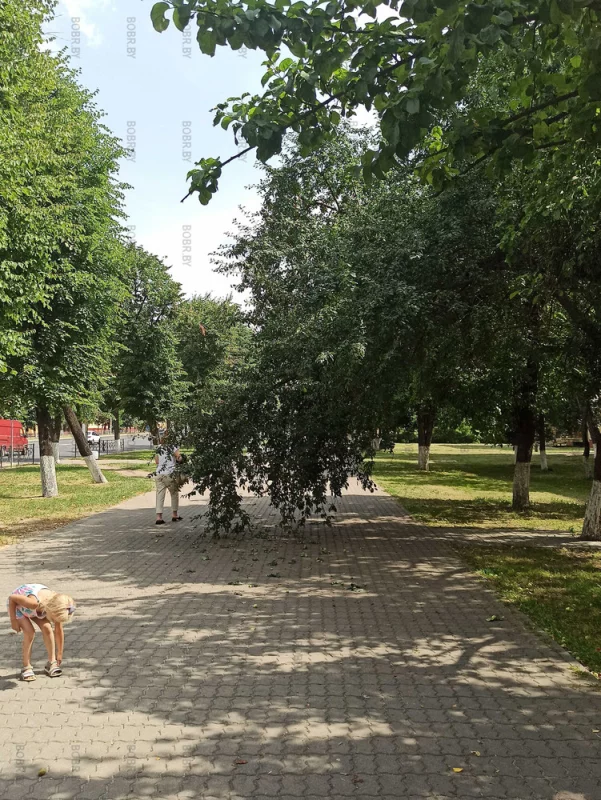 Ул. Минская