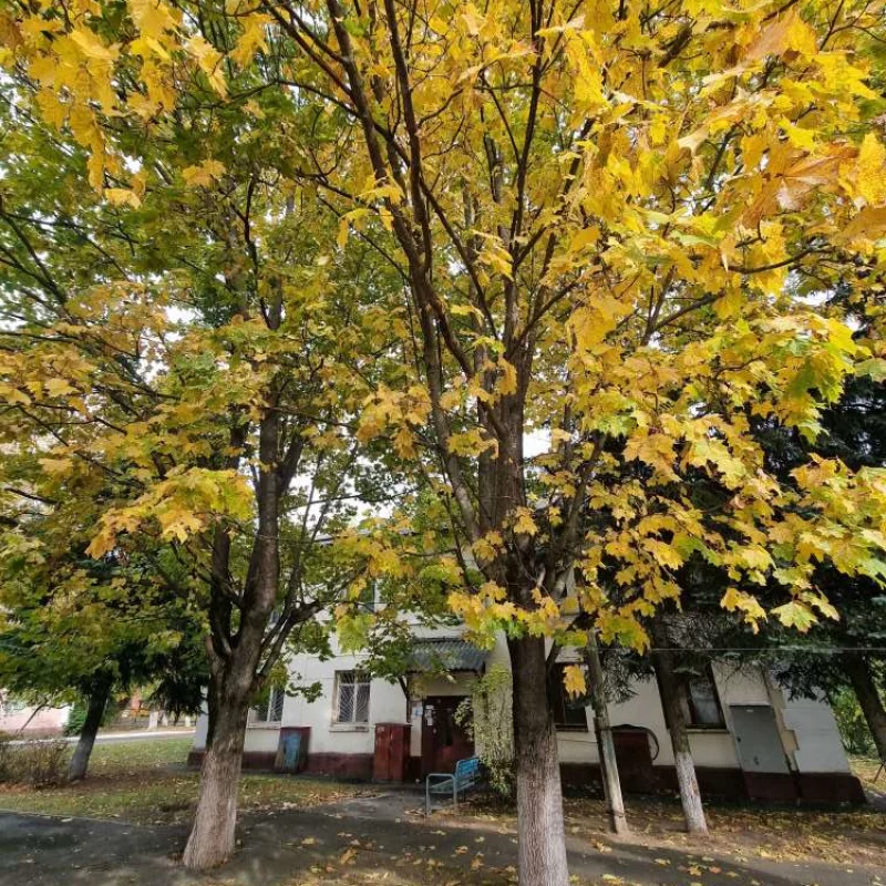 Краски осени в Ленгородке